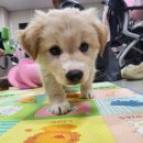 초이스디자인 이미지