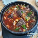 양지-2764 | 거제 현지인 해장국 맛집 우면가 제주 소고기해장국
