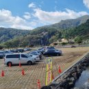 구철초 테마공원 구절폭포옆 | 전북 정읍 | 구절초 꽃축제 - 10월 가볼만한 곳, 출사명소 옥정호 테마공원