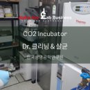 (주)알파라인랩비즈니스 이미지