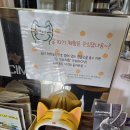 대문농장 | 제주 쉼터체험농장 감귤 따기 체험 방문 후기