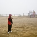 그린다목장 이미지