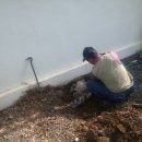 미리벌중학교 이미지