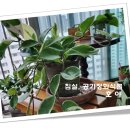 동아골프연습장 이미지