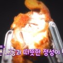 양동시장통닭 - 서구 풍암2로 38 | 양동시장통닭