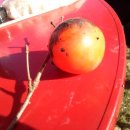 샤론민박 이미지