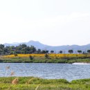 솔뫼공원 이미지