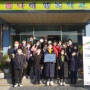 진성초등학교 이미지