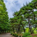 부천중앙공원 이미지