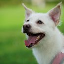 산책하다 이미지