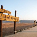 김소월「엄마야 누나 | [여행] 단풍 인파는 이제 그만! 입장료, 주차비 0원! 서천 신성리 갈대밭에서 가을 인생샷 건지는 비법