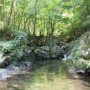 원진민박 이미지