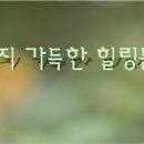 정보파동 몸으로 겪다. 이미지