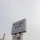쿠키굽는고양이
