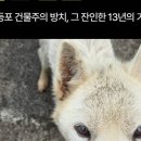 노령주유소 네이버블로그