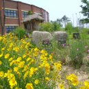 무장초등학교 이미지