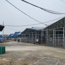 충북사슴영농조합법인