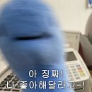 방싯방싯