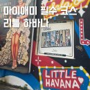 펫 로드스타 컴퍼니 | 마이애미 여행 리틀하바나 볼거리 맛집 위치 가격 후기