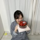 남해벚꽃길지나서 | [남해]벚꽃길 지나서 펜션 / 내돈내산 후기