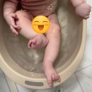 플러스비 | 아기욕조 추천, 온다베이비 플러스 내돈내산 후기