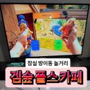 겜숲 플스카페 이미지