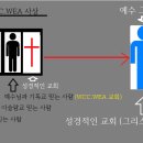 WCC.WEA 사이비교회와 성경적인 교회를 보라 이미지