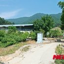 유엔평화관 이미지