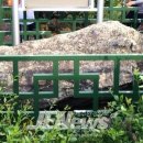 광령지석묘 5호 이미지