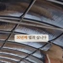 햇 벌집 이미지
