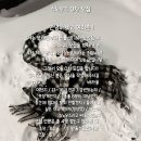 스노우즈 이미지