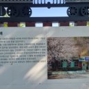 삼랑진역장 이미지