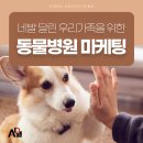 금쪽같은내새끼 동물병원 이미지