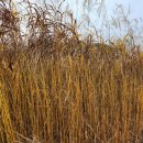 열린행정사사무소 이미지