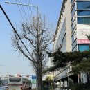 삼성웰빙사우나 이미지