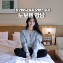 라운지14 | 노보텔 앰배서더 강남 조식 라운지 주차 호캉스 후기