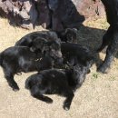 토종목장 이미지