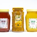 춘천양봉원