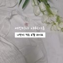 티나라 | 세인티나 순면샤워가운 활용기, 홈웨어부터 비치웨어까지 우아하게