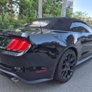 청주카써비스 이미지