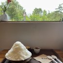 탈빙고