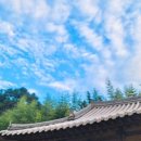 보성강6 | 곡성펜션 자연을 품은 힐링 [심청골한옥펜션]
