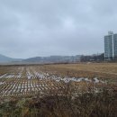 [국도38] 서산시 화곡리 Daum카페