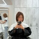 신당역 미용실 두피클리닉 리얼후기 어반셀헤어 명호쌤