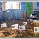 포도나무민박 이미지