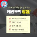 한미태권도스쿨 이미지