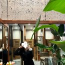 도두봉 실내수영장 | 제주공항 5분! 도두 트로피칼 풀빌라 리얼후기 | 프라이빗 수영장 숙소 추천