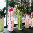 스타 반려견 교육센터 이미지