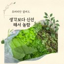 유러피안 | 싱싱키친몰 유러피안 샐러드 솔직 후기