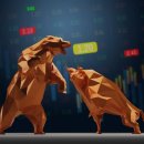 Leveraged investment: rationale and animal spirit 레버리지 투자: 이론적 근거와 야성적 충동 이미지